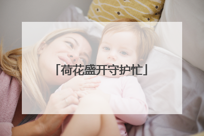 荷花盛开守护忙