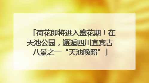 荷花即将进入盛花期！在天池公园，邂逅四川宜宾古八景之一“天池晚照”