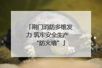 荆门消防多维发力 筑牢安全生产“防火墙”