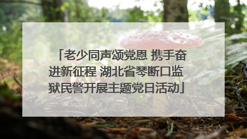 老少同声颂党恩 携手奋进新征程 湖北省琴断口监狱民警开展主题党日活动