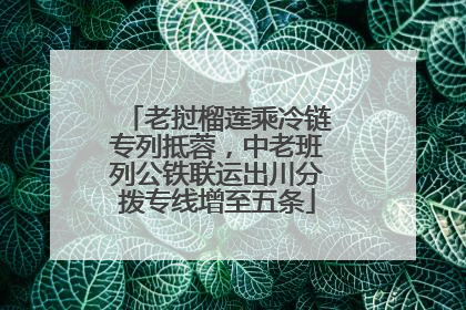 老挝榴莲乘冷链专列抵蓉，中老班列公铁联运出川分拨专线增至五条