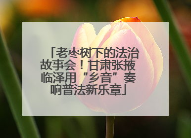 老枣树下的法治故事会！甘肃张掖临泽用“乡音”奏响普法新乐章