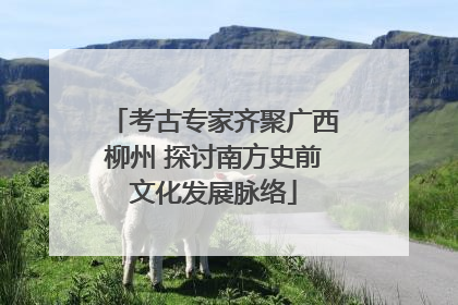 考古专家齐聚广西柳州 探讨南方史前文化发展脉络