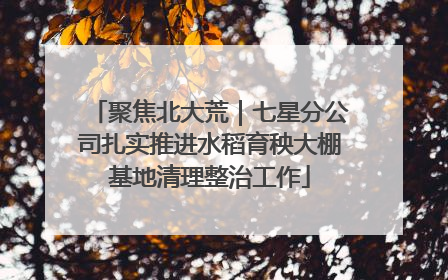 聚焦北大荒｜七星分公司扎实推进水稻育秧大棚基地清理整治工作