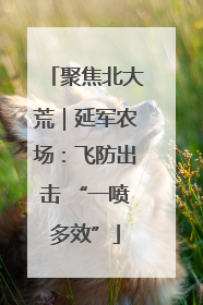 聚焦北大荒｜延军农场：飞防出击 “一喷多效”