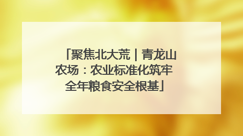 聚焦北大荒｜青龙山农场：农业标准化筑牢全年粮食安全根基