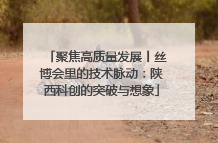 聚焦高质量发展丨丝博会里的技术脉动：陕西科创的突破与想象