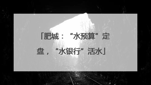 肥城：“水预算”定盘，“水银行”活水