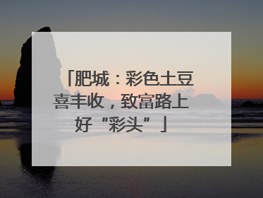 肥城：彩色土豆喜丰收，致富路上好“彩头”