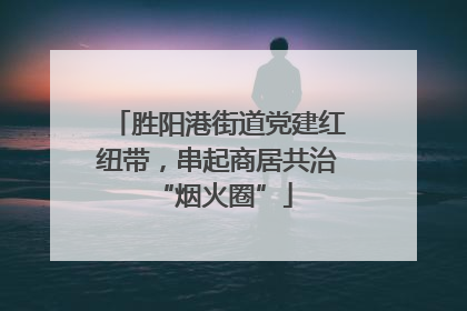 胜阳港街道党建红纽带，串起商居共治 “烟火圈”
