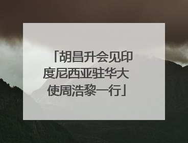 胡昌升会见印度尼西亚驻华大使周浩黎一行