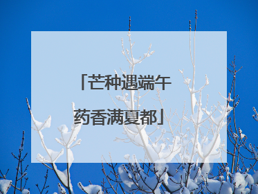 芒种遇端午 药香满夏都