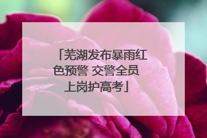 芜湖发布暴雨红色预警 交警全员上岗护高考