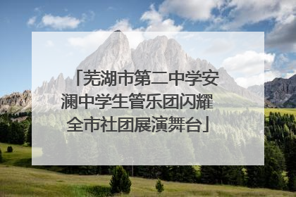 芜湖市第二中学安澜中学生管乐团闪耀全市社团展演舞台