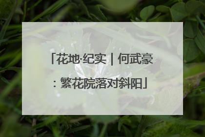 花地·纪实｜何武豪：繁花院落对斜阳