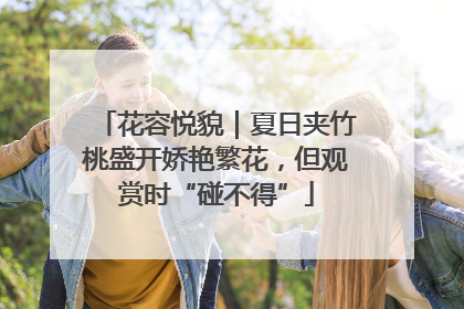 花容悦貌｜夏日夹竹桃盛开娇艳繁花，但观赏时“碰不得”