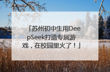 苏州初中生用DeepSeek打造专属游戏，在校园里火了！