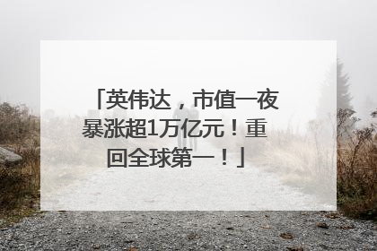英伟达，市值一夜暴涨超1万亿元！重回全球第一！
