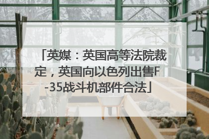 英媒：英国高等法院裁定，英国向以色列出售F-35战斗机部件合法