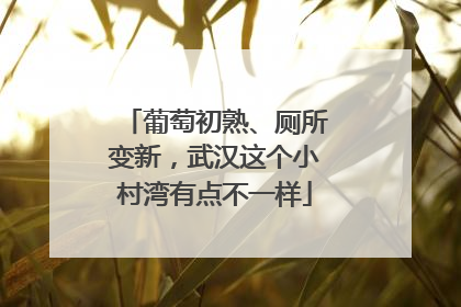 葡萄初熟、厕所变新，武汉这个小村湾有点不一样