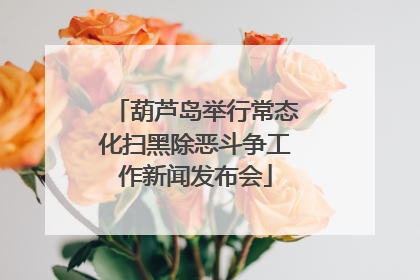 葫芦岛举行常态化扫黑除恶斗争工作新闻发布会