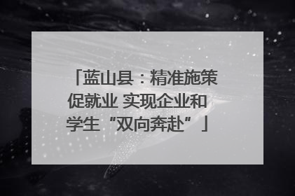 蓝山县：精准施策促就业 实现企业和学生“双向奔赴”