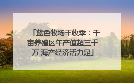 蓝色牧场丰收季：千亩养殖区年产值超三千万 海产经济活力足