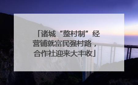 诸城“整村制”经营铺就富民强村路，合作社迎来大丰收