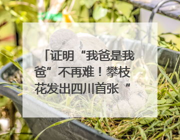 证明“我爸是我爸”不再难！攀枝花发出四川首张“户籍人口直系亲属关系谱”