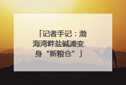 记者手记：渤海湾畔盐碱滩变身“新粮仓”