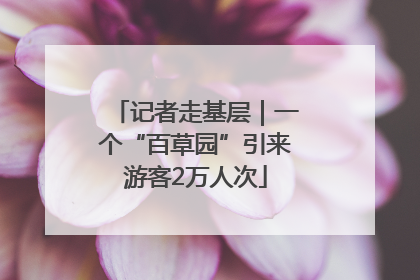 记者走基层｜一个“百草园”引来游客2万人次