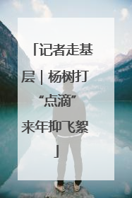 记者走基层｜杨树打“点滴” 来年抑飞絮