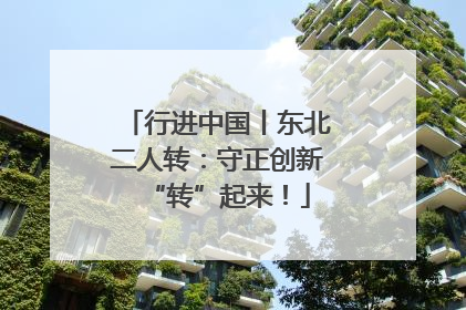 行进中国丨东北二人转：守正创新“转”起来！