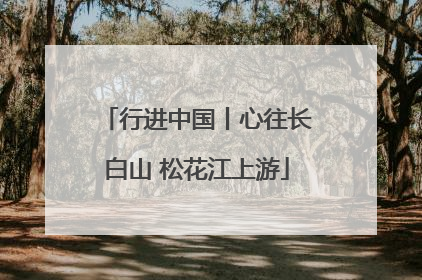 行进中国丨心往长白山 松花江上游