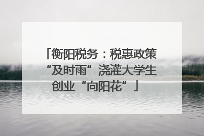衡阳税务：税惠政策“及时雨”浇灌大学生创业“向阳花”