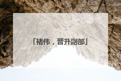 褚伟，晋升副部