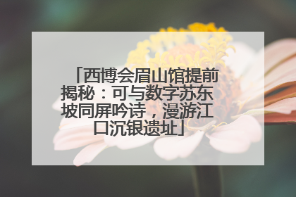 西博会眉山馆提前揭秘：可与数字苏东坡同屏吟诗，漫游江口沉银遗址