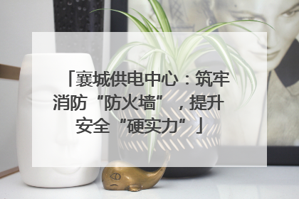 襄城供电中心：筑牢消防“防火墙”，提升安全“硬实力”