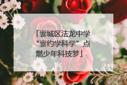 襄城区法龙中学“襄约学科学”点燃少年科技梦
