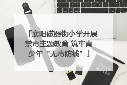 襄阳磁器街小学开展禁毒主题教育 筑牢青少年“无毒防线”