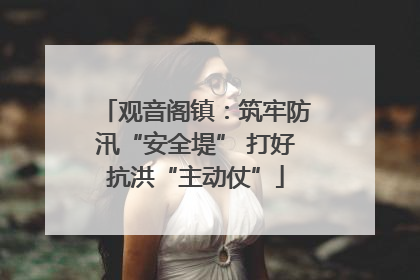 观音阁镇：筑牢防汛“安全堤” 打好抗洪“主动仗”