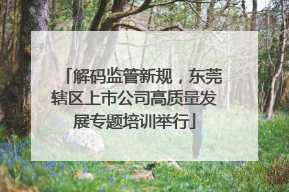解码监管新规，东莞辖区上市公司高质量发展专题培训举行