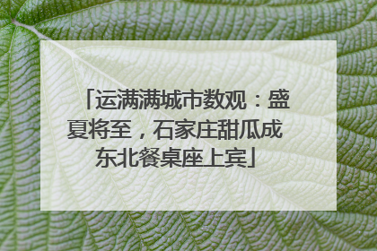 运满满城市数观：盛夏将至，石家庄甜瓜成东北餐桌座上宾