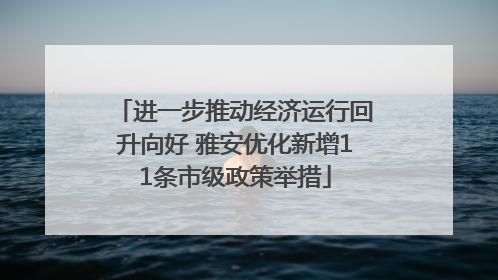 进一步推动经济运行回升向好 雅安优化新增11条市级政策举措