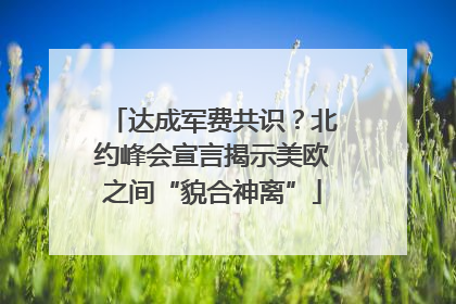 达成军费共识？北约峰会宣言揭示美欧之间“貌合神离”