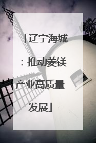 辽宁海城：推动菱镁产业高质量发展
