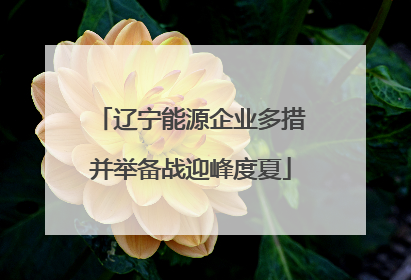 辽宁能源企业多措并举备战迎峰度夏