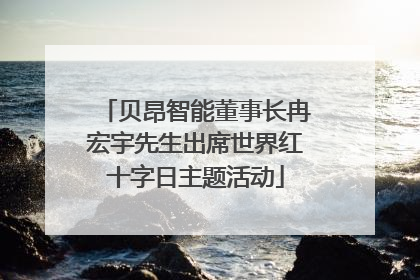 贝昂智能董事长冉宏宇先生出席世界红十字日主题活动