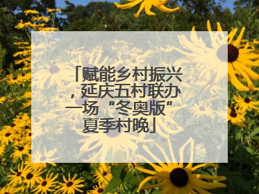 赋能乡村振兴，延庆五村联办一场“冬奥版”夏季村晚