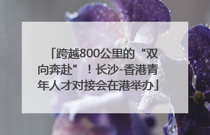 跨越800公里的“双向奔赴”！长沙-香港青年人才对接会在港举办